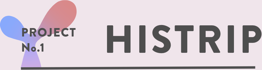 PROJECT No.1 HISTRIP